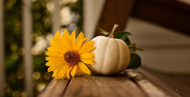 Happy Thanksgiving