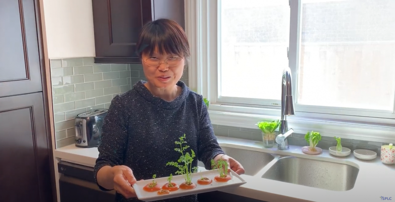 Tracy shows you how to grow vegetables in the kitchen